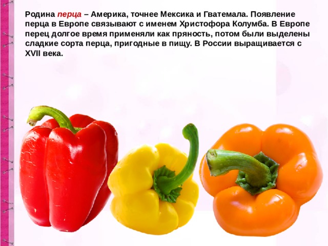 Родина  перца  – Америка, точнее Мексика и Гватемала. Появление перца в Европе связывают с именем Христофора Колумба. В Европе перец долгое время применяли как пряность, потом были выделены сладкие сорта перца, пригодные в пищу. В России выращивается с XVII века. 