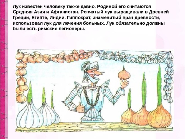 Лук известен человеку также давно. Родиной его считаются Средняя Азия и Афганистан. Репчатый лук выращивали в Древней Греции, Египте, Индии. Гиппократ, знаменитый врач древности, использовал лук для лечения больных. Лук обязательно должны были есть римские легионеры. 