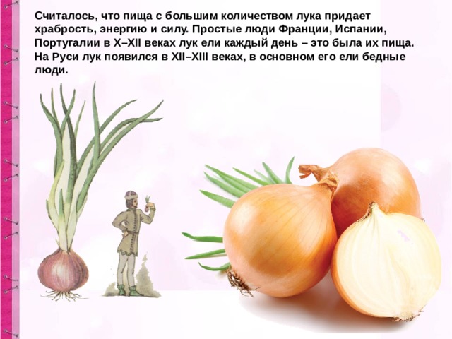 Считалось, что пища с большим количеством лука придает храбрость, энергию и силу. Простые люди Франции, Испании, Португалии в X–XII веках лук ели каждый день – это была их пища. На Руси лук появился в XII–XIII веках, в основном его ели бедные люди. 
