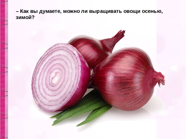 – Как вы думаете, можно ли выращивать овощи осенью, зимой? 