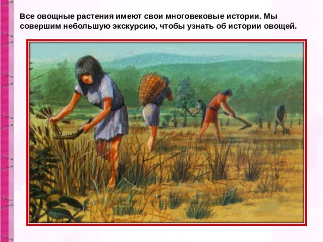 Все овощные растения имеют свои многовековые истории. Мы совершим небольшую экскурсию, чтобы узнать об истории овощей.  