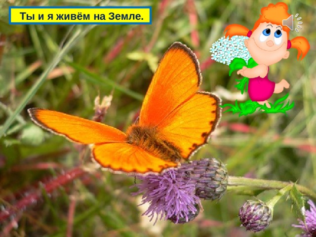  Ты и я живём на Земле. 