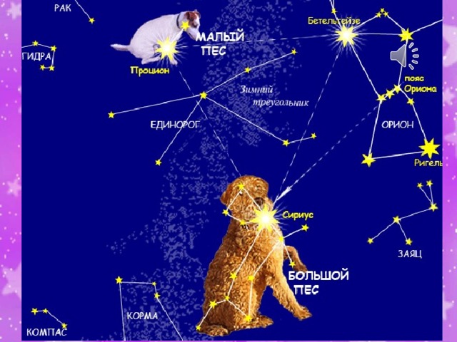 . Созвездие Большой и Малый Пёс – очень древнее созвездие. В этом созвездии находится самая яркая звезда ночного небосвода – Сириус. В древнем Египте Сириус называли Звездой Нила, поскольку его первый утренний восход предвещал разлив Нила в дни летнего солнцестояния.  