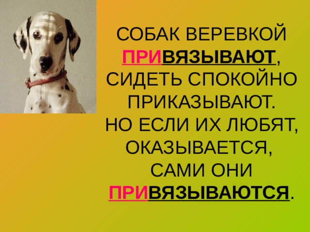 СОБАК ВЕРЕВКОЙ ПРИ ВЯЗЫВАЮТ ,  СИДЕТЬ СПОКОЙНО ПРИКАЗЫВАЮТ.  НО ЕСЛИ ИХ ЛЮБЯТ,  ОКАЗЫВАЕТСЯ,  САМИ ОНИ ПРИ ВЯЗЫВАЮТСЯ . 