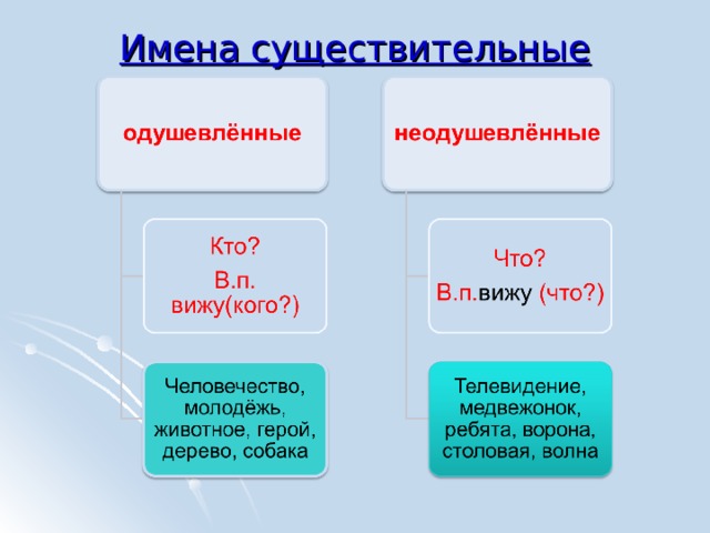 Имена существительные 