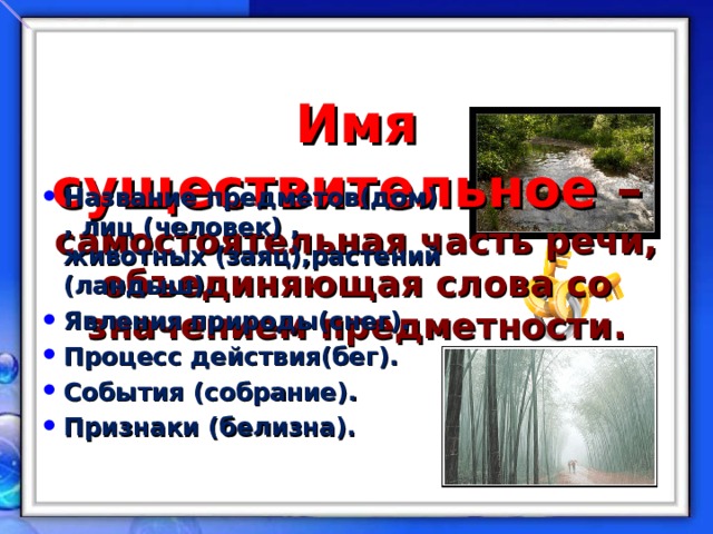  Имя существительное –  самостоятельная часть речи, объединяющая слова со значением предметности. Название предметов(дом) , лиц (человек) , животных (заяц),растений (ландыш). Явления природы(снег). Процесс действия(бег). События (собрание). Признаки (белизна). 