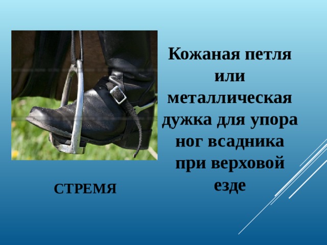 Кожаная петля или металлическая дужка для упора ног всадника при верховой езде СТРЕМЯ   