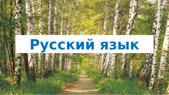 Русский язык 