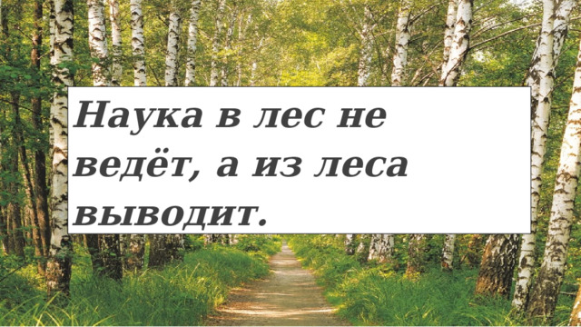 Наука в лес не ведёт, а из леса выводит. 