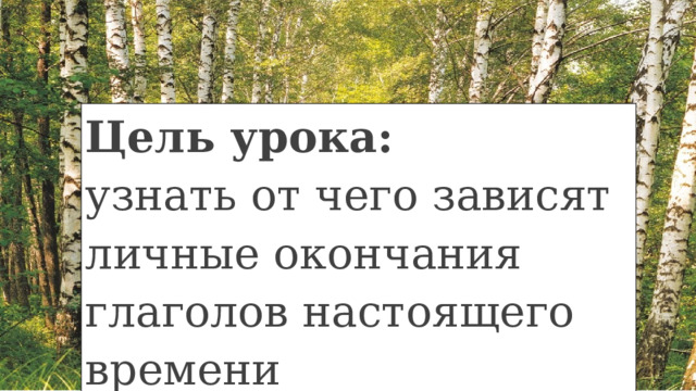 Цель урока: узнать от чего зависят личные окончания глаголов настоящего времени 
