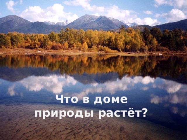 Что в доме природы растёт? 