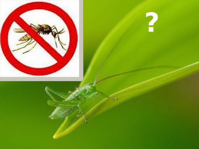 ? 