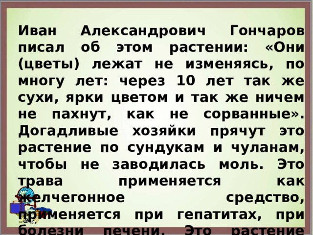 Иван Александрович Гончаров писал об этом растении: «Они (цветы) лежат не изменяясь, по многу лет: через 10 лет так же сухи, ярки цветом и так же ничем не пахнут, как не сорванные». Догадливые хозяйки прячут это растение по сундукам и чуланам, чтобы не заводилась моль. Это трава применяется как желчегонное средство, применяется при гепатитах, при болезни печени. Это растение растёт во многих местах: в России, на Кавказе, Австралии, на Мадагаскаре.  