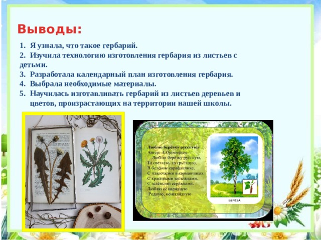   1. Я узнала, что такое гербарий.  2. Изучила технологию изготовления гербария из листьев с детьми.  3. Разработала календарный план изготовления гербария.  4. Выбрала необходимые материалы.  5. Научилась изготавливать гербарий из листьев деревьев и   цветов, произрастающих на территории нашей школы.   Выводы: 