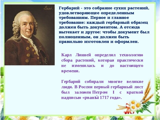 Гербарий - это собрание сухих растений, удовлетворяющее определенным требованиям. Первое и главное требование: каждый гербарный образец должен быть документом. А отсюда вытекает и другое: чтобы документ был полноценным, он должен быть правильно изготовлен и оформлен. Карл Линней определил технологию сбора растений, которая практически не изменилась и до настоящего времени.  Гербарий собирали многие великие люди. В России первый гербарный лист был заложен Петром I с краткой надписью «рваны́ 1717 года». 