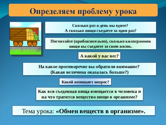 Сколько раз в день вы едите? А сколько пищи съедаете за один раз? Посчитайте (приблизительно), сколько килограммов пищи вы съедаете за свою жизнь. А какой у вас вес? На какое противоречие вы обратили внимание? (Какая величина оказалась больше?) Какой возникает вопрос? Как вся съеденная пища вмещается в человека и на что тратится вещество пищи в организме? Тема урока: «Обмен веществ в организме». 