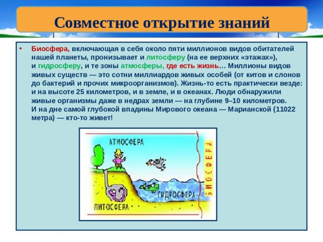 Совместное открытие знаний Биосфера, включающая в себя около пяти миллионов видов обитателей нашей планеты, пронизывает и  литосферу (на ее верхних «этажах»), и  гидросферу , и те зоны атмосферы, где есть жизнь … Миллионы видов живых существ — это сотни миллиардов живых особей (от китов и слонов до бактерий и прочих микроорганизмов). Жизнь-то есть практически везде: и на высоте 25 километров, и в земле, и в океанах. Люди обнаружили живые организмы даже в недрах земли — на глубине 9–10 километров. И на дне самой глубокой впадины Мирового океана — Марианской (11022 метра) — кто-то живет! 