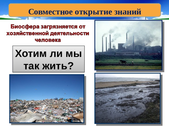 Совместное открытие знаний Хотим ли мы так жить? 