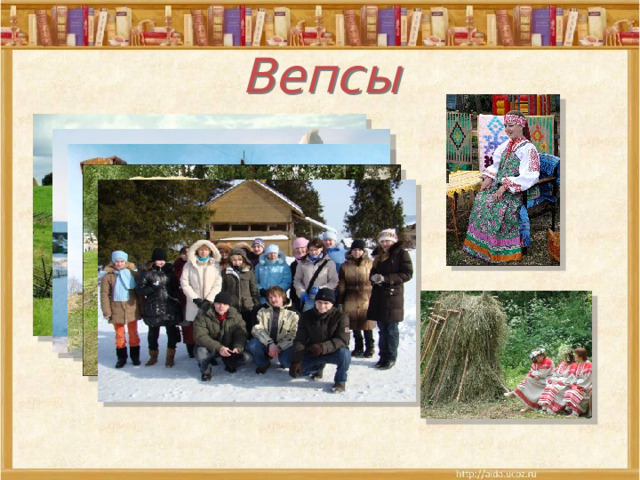 Вепсы 