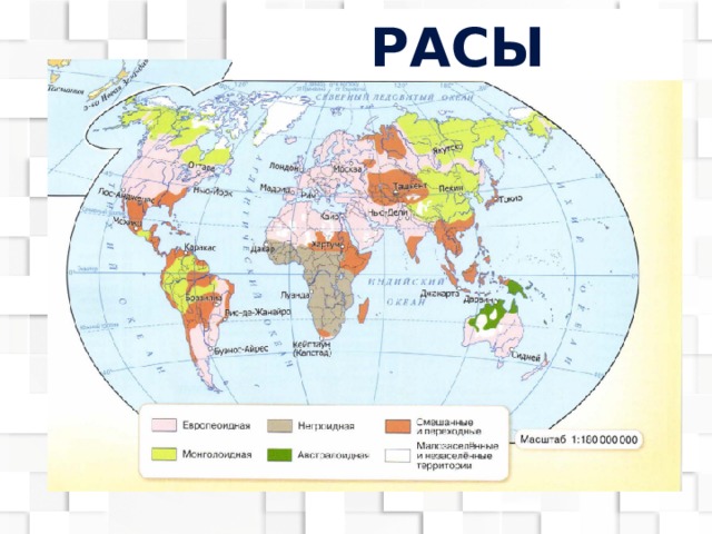 расы 