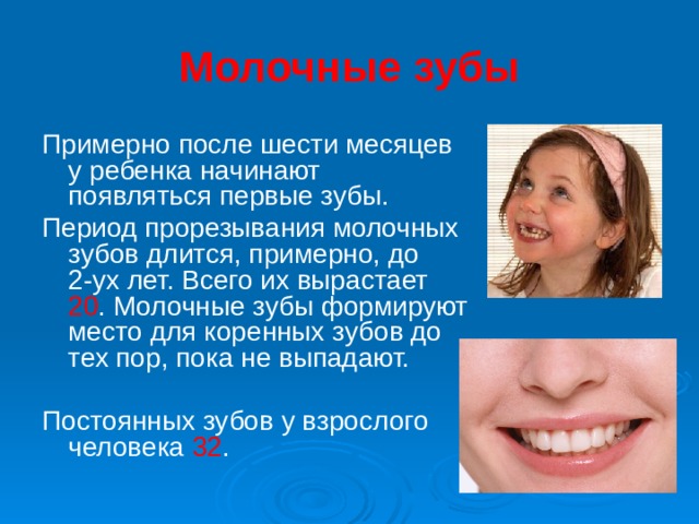 Молочные зубы Примерно после шести месяцев у ребенка начинают появляться первые зубы. Период прорезывания молочных зубов длится, примерно, до 2-ух лет. Всего их вырастает 20 . Молочные зубы формируют место для коренных зубов до тех пор, пока не выпадают. Постоянных зубов у взрослого человека 32 . 