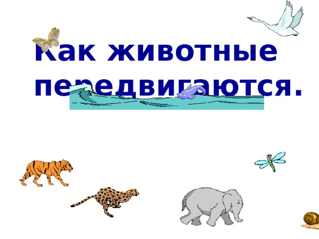 Как животные передвигаются. 