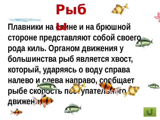 Рыбы Плавники на спине и на брюшной стороне представляют собой своего рода киль. Органом движения у большинства рыб является хвост, который, ударяясь о воду справа налево и слева направо, сообщает рыбе скорость поступательного движения. 
