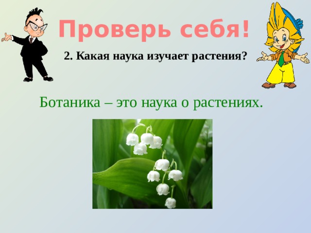Проверь себя! 2. Какая наука изучает растения? Ботаника – это наука о растениях. 