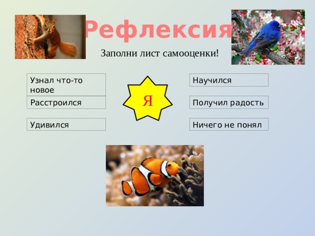 Рефлексия Заполни лист самооценки! Узнал что-то новое Научился Я Расстроился Получил радость Удивился Ничего не понял 