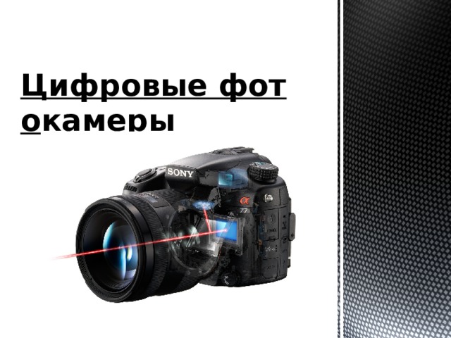 Цифровые фотокамеры 