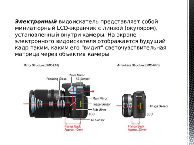 Электронный  видоискатель представляет собой миниатюрный LCD-экранчик с линзой (окуляром), установленный внутри камеры. На экране электронного видоискателя отображается будущий кадр таким, каким его 