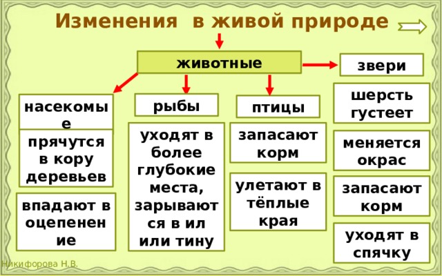 Изменения в живой природе животные звери шерсть густеет рыбы насекомые птицы уходят в более глубокие места, зарываются в ил или тину запасают корм прячутся в кору деревьев меняется окрас улетают в тёплые края запасают корм впадают в оцепенение уходят в спячку 