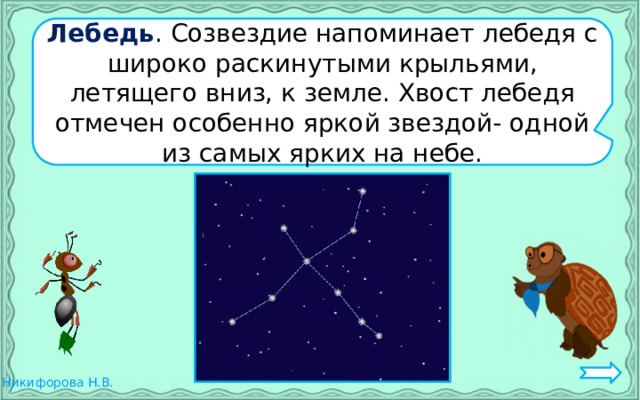 Лебедь . Созвездие напоминает лебедя с широко раскинутыми крыльями, летящего вниз, к земле. Хвост лебедя отмечен особенно яркой звездой- одной из самых ярких на небе. 