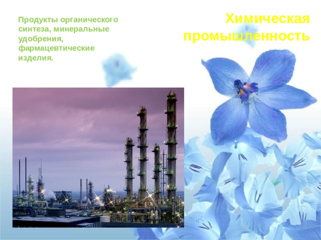 Химическая промышленность Продукты органического синтеза, минеральные удобрения, фармацевтические изделия. 