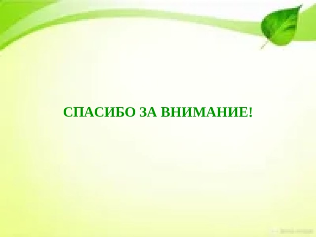 СПАСИБО ЗА ВНИМАНИЕ! 