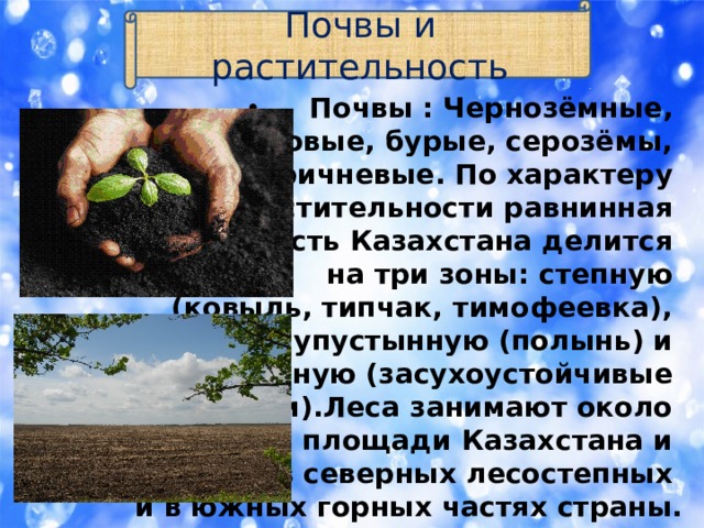 Почвы и растительность Почвы : Чернозёмные,  каштановые, бурые, серозёмы,  коричневые. По характеру  растительности равнинная  часть Казахстана делится  на три зоны: степную   (ковыль, типчак, тимофеевка),  полупустынную (полынь) и  пустынную (засухоустойчивые  кустарники).Леса занимают около  5,5 % площади Казахстана и  находятся в северных лесостепных  и в южных горных частях страны. 
