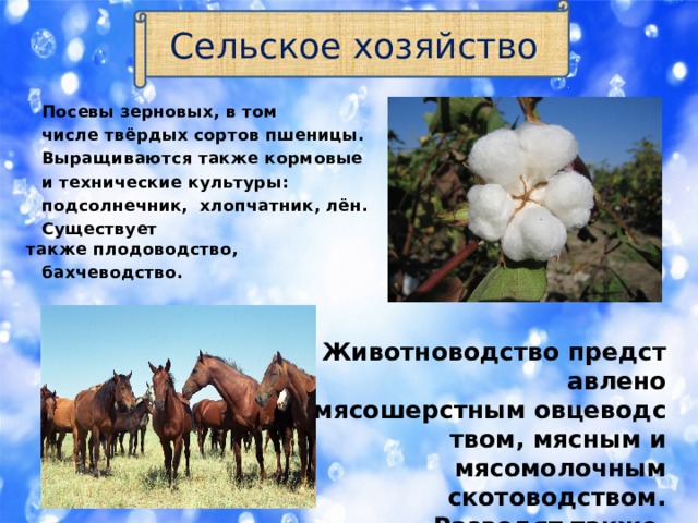 Сельское хозяйство  Посевы зерновых, в том  числе твёрдых сортов пшеницы.  Выращиваются также кормовые   и технические культуры:   подсолнечник,  хлопчатник, лён.  Существует также плодоводство,   бахчеводство. Животноводство представлено мясошерстным овцеводством, мясным и мясомолочным   скотоводством. Разводят также   куланов, верблюдов и лошадей. 