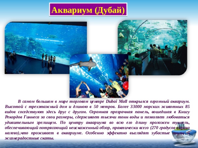 Аквариум (Дубай)  В самом большом в мире торговом центре Dubai Mall открылся огромный аквариум. Высотой с трехэтажный дом и длиною в 50 метров. Более 33000 морских животных 85 видов соседствуют здесь друг с другом. Огромная прозрачная панель, вошедшая в Книгу Рекордов Гиннеса за свои размеры, cдерживает тысячи тонн воды и позволяет любоваться удивительным зрелищем. По центру аквариума во всю его длину проложен туннель, обеспечивающий потрясающий неискаженный обзор, практически всего (270 градусов справа налево),что проживает в аквариуме. Особенно эффектно выглядят зубастые акулы и жизнерадостные скаты. 