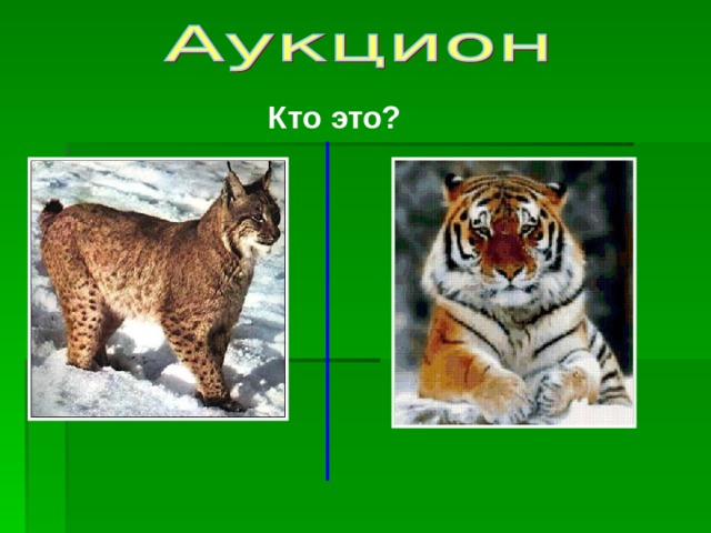 Кто это? 