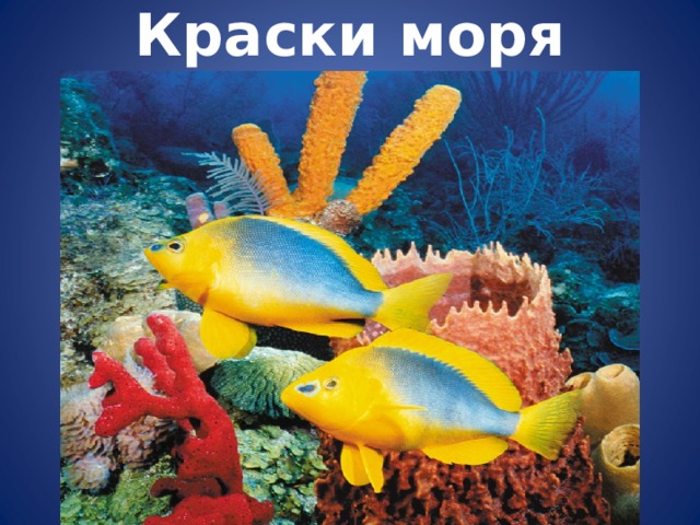 Краски моря 