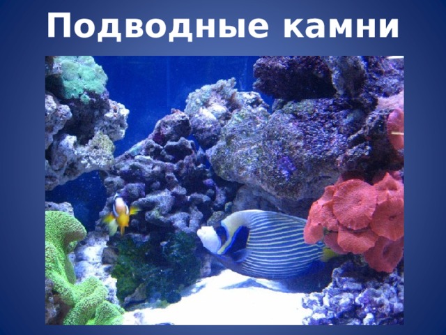 Подводные камни 