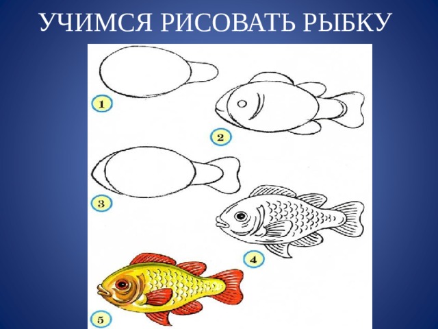 УЧИМСЯ РИСОВАТЬ РЫБКУ 