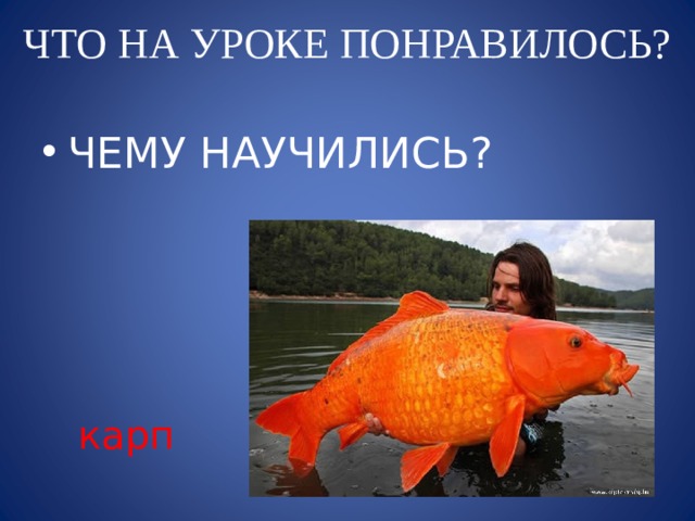 ЧТО НА УРОКЕ ПОНРАВИЛОСЬ? ЧЕМУ НАУЧИЛИСЬ?  карп 