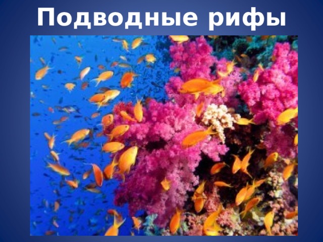 Подводные рифы 