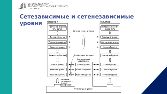Сетезависимые и сетенезависимые уровни 