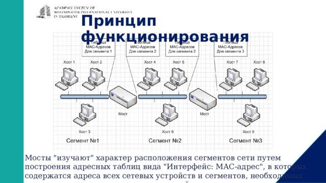 Принцип функционирования Мосты 