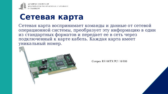 Сетевая карта Сетевая карта воспринимает команды и данные от сетевой операционной системы, преобразует эту информацию в один из стандартных форматов и передает ее в сеть через подключенный к карте кабель. Каждая карта имеет уникальный номер. 