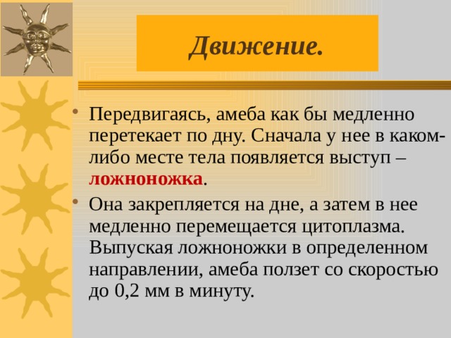 Движение. Передвигаясь, амеба как бы медленно перетекает по дну. Сначала у нее в каком-либо месте тела появляется выступ – ложноножка . Она закрепляется на дне, а затем в нее медленно перемещается цитоплазма. Выпуская ложноножки в определенном направлении, амеба ползет со скоростью до 0,2 мм в минуту. 