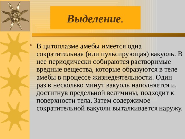 Выделение . В цитоплазме амебы имеется одна сократительная (или пульсирующая) вакуоль. В нее периодически собираются растворимые вредные вещества, которые образуются в теле амебы в процессе жизнедеятельности. Один раз в несколько минут вакуоль наполняется и, достигнув предельной величины, подходит к поверхности тела. Затем содержимое сократительной вакуоли выталкивается наружу. 