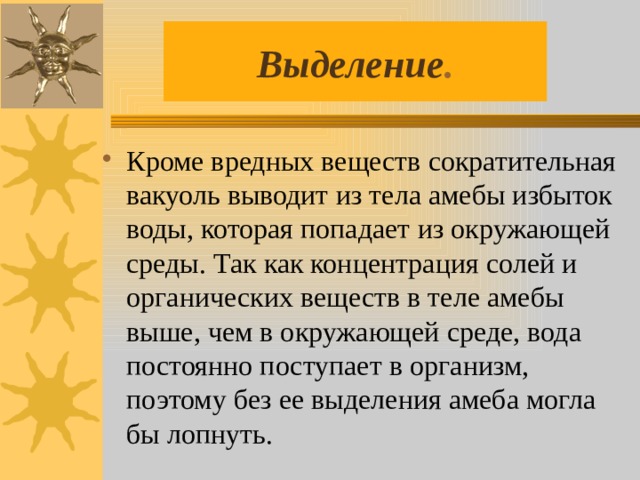 Выделение . Кроме вредных веществ сократительная вакуоль выводит из тела амебы избыток воды, которая попадает из окружающей среды. Так как концентрация солей и органических веществ в теле амебы выше, чем в окружающей среде, вода постоянно поступает в организм, поэтому без ее выделения амеба могла бы лопнуть. 